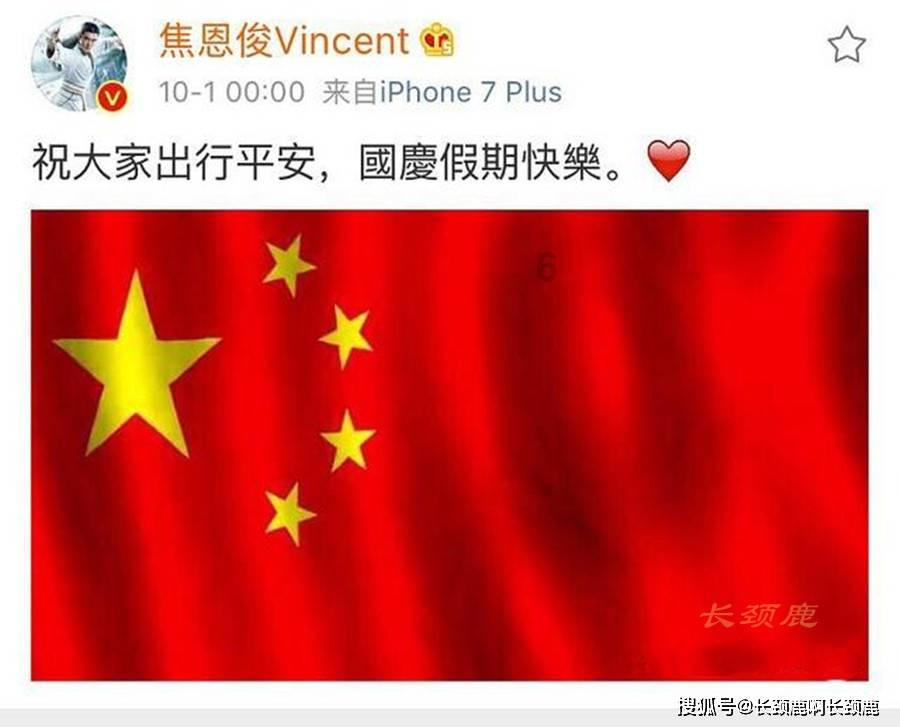 救援狗与猫